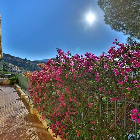 Lantana Luxury